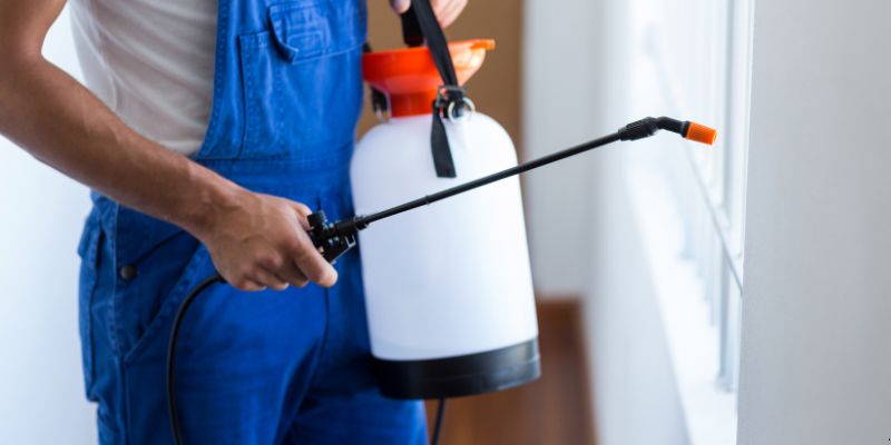 Como Fazer Dedetização em Casa em Diadema: 4 Dicas Simples Como fazer dedetização em casa em Diadema