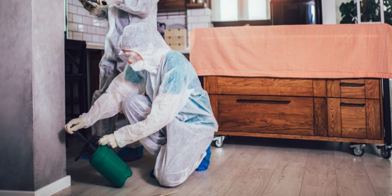 Dedetização em Apartamento Como Funciona em Diadema: Confira 4 Passos Dedetização em Apartamento Como Funciona em Diadema: Confira 4 Passos