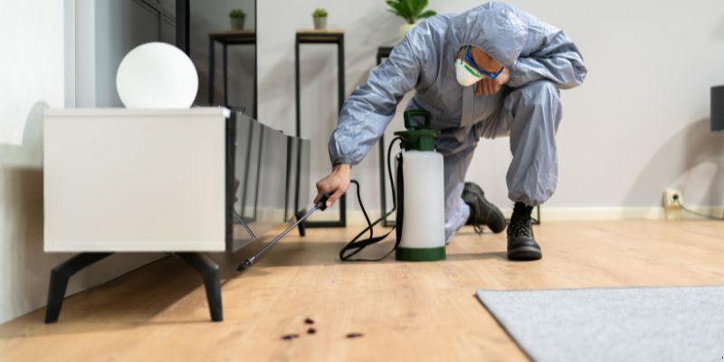 Quanto Tempo Dura Uma Dedetização em Diadema? Confira! Quanto tempo dura uma dedetização em Diadema?